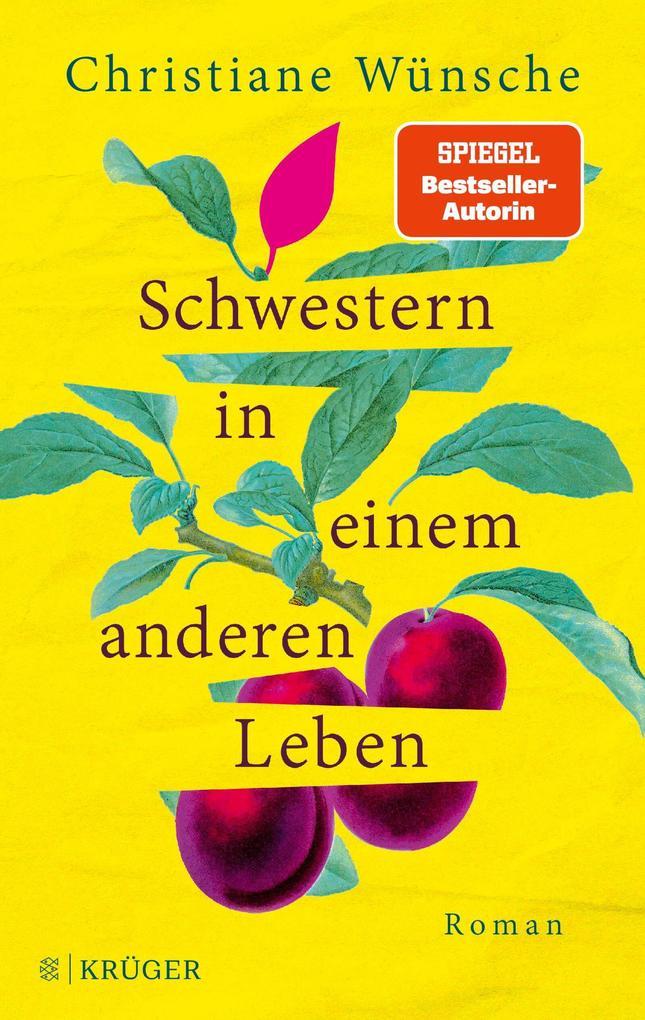 ebook Christiane Wünsche: Schwestern in einem anderen Leben bei ebook.de