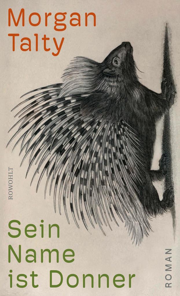 ebook Morgan Talty: Sein Name ist Donner bei ebook.de Limitierter Zeitrabatt