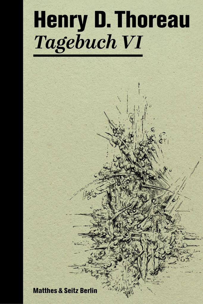 ebook Henry David Thoreau: Tagebuch VI bei ebook.de