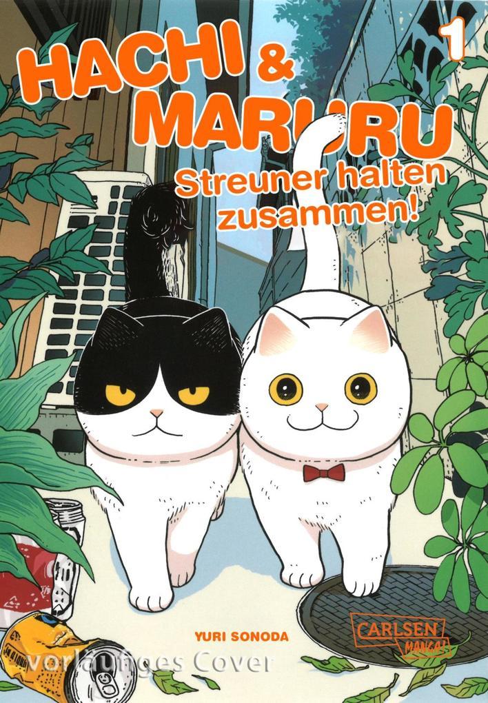 ebook Yuri Sonoda: Hachi & Maruru - Streuner halten zusammen 1 bei ebook.de