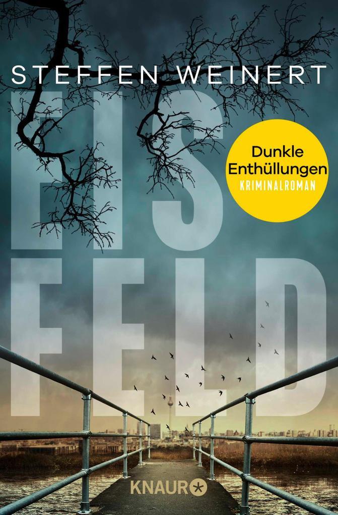 ebook Steffen Weinert: Eisfeld - Dunkle Enthüllungen bei ebook.de