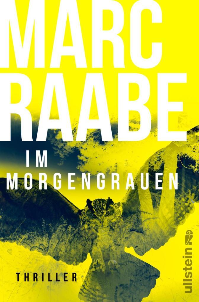 ebook Marc Raabe: Im Morgengrauen bei ebook.de