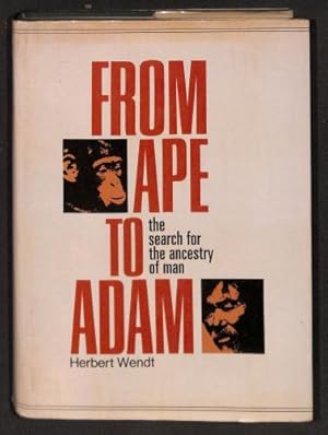 zvab From ape to Adam: The search for the ancestry of man /Herbert Wendt von Wendt Herbert: Good